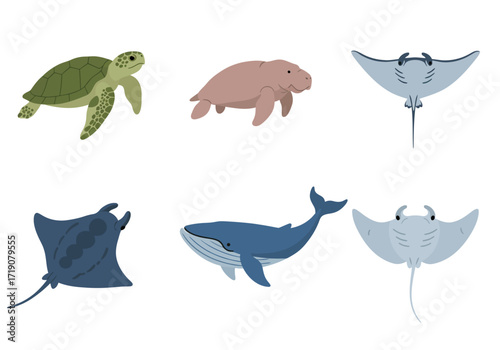 Six marine animals a turtle manatee two stingrays a whale and a manta ray