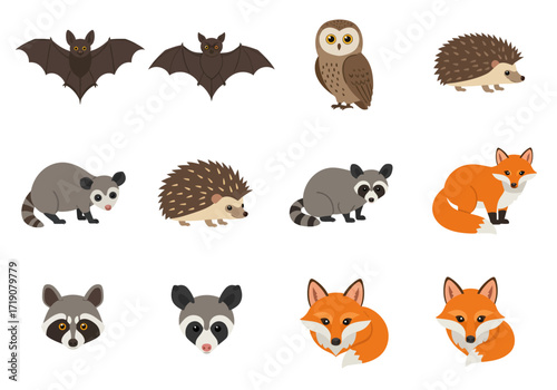 Twelve cartoon animals on a white background bats owls hedgehogs opossums raccoons and foxes