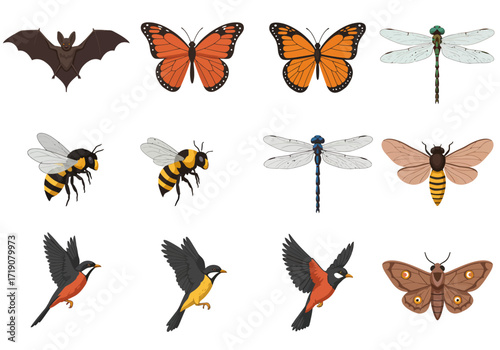Twelve creatures including butterflies dragonflies bees moths birds and a bat are arranged on a white background
