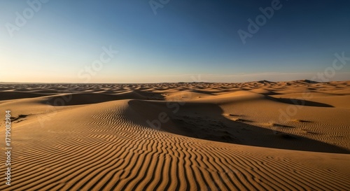 Golden Sand Dunes in Vast Desert Landscape with Ripple Patterns and Long Shadows at Sunrise