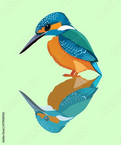 vector illustration of A peaceful cartoon kingfisher bird 