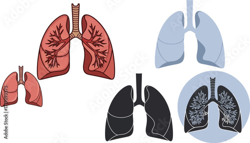 Illustrations of lungs in various styles and color schemes on white editable vector file