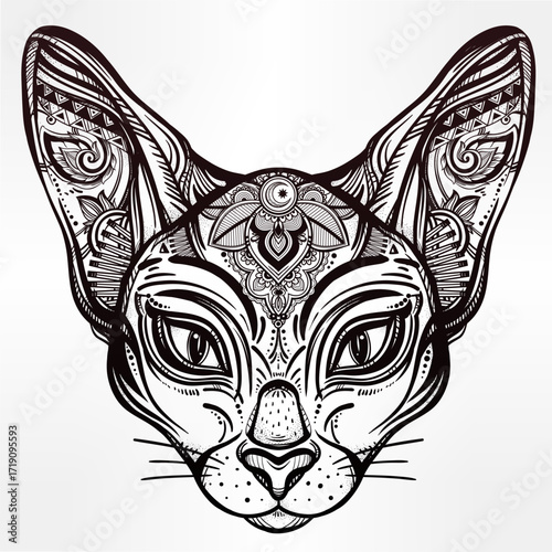 Intricate black and white cat head illustration, detailed tribal patterns adorn ears and forehead, symmetrical design, centered composition, high contrast, mystical ambiance.
