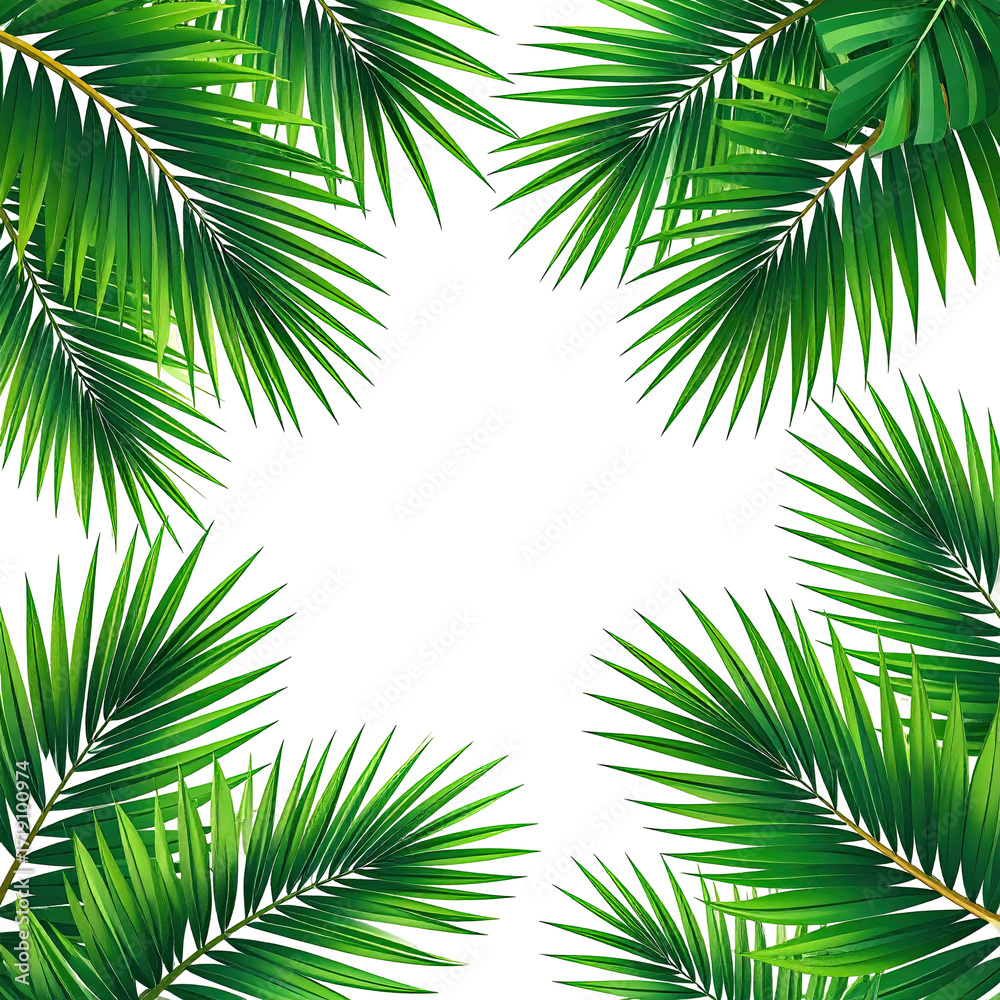 Fototapeta premium Tropical palm fronds frame a stark black center. Lush, vibrant green palm leaves radiate outward, creating a botanical border. Detailed vein structure of the leaves is visible