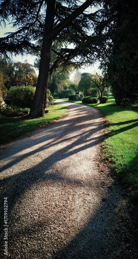 Fototapeta premium Sun-dappled path through a park
