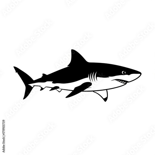 Vector art of black and white illustration of a shark