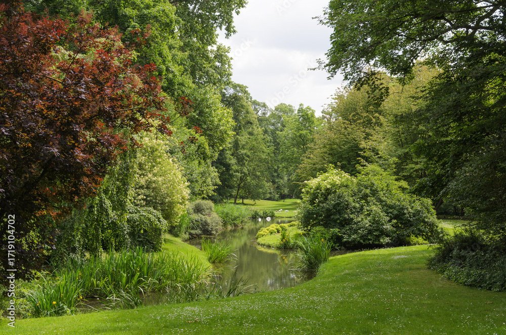 Obraz premium Lush green park with winding stream.