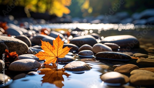 Autumn leaf on river stones