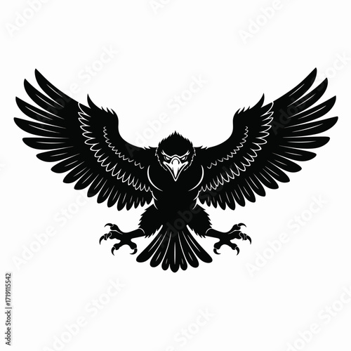 Powerful Black Eagle Spreading Its Wings Wide In Predatory Stance