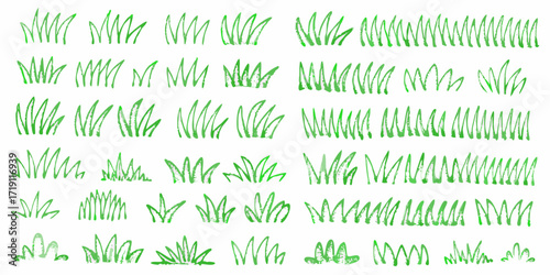 Collection of hand drawn green grass illustrations with a brush stroke texture on a white background