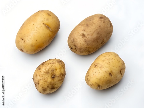 Four raw potatoes with light brown skin and surface irregularities arranged on white background