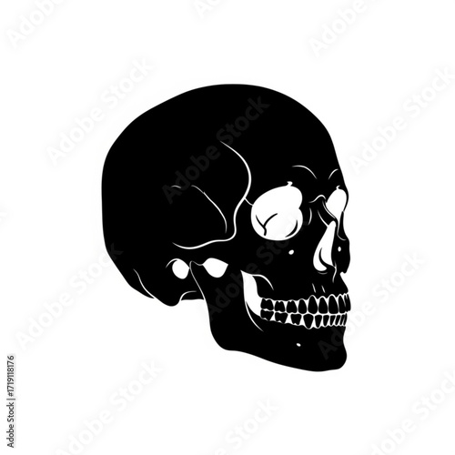 Black human skull silhouette isolated on white background