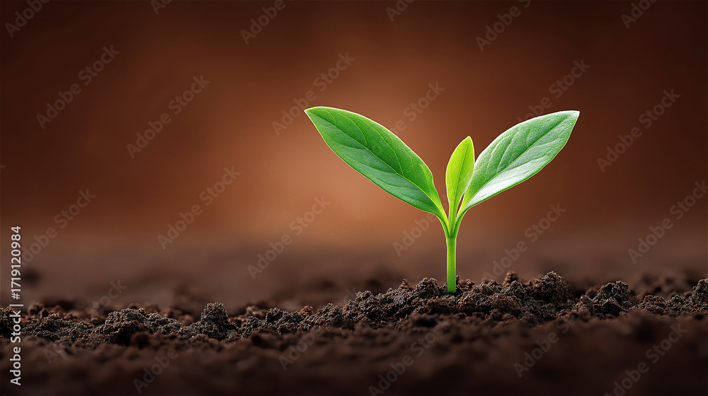 Naklejka premium Green seedling sprouting from soil, symbolizing growth, sustainability and ecology, with natural agricultural background and inspirational copy space.