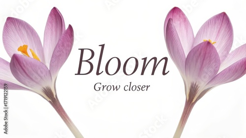 Beautiful Pink Flowers with Inspirational Text for Growth and Connection