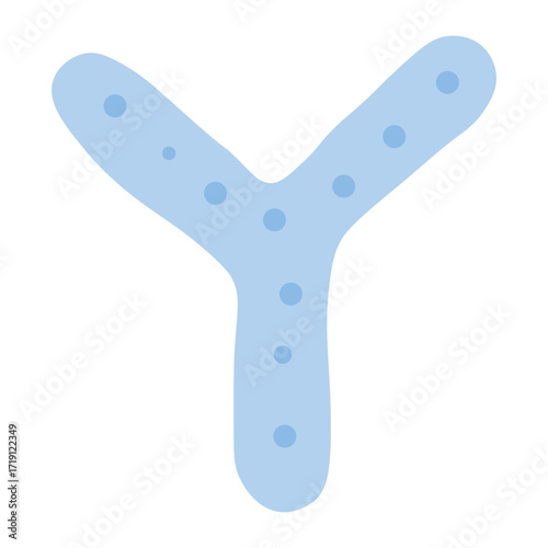 Bifidobacterium Probiotic Bacteria