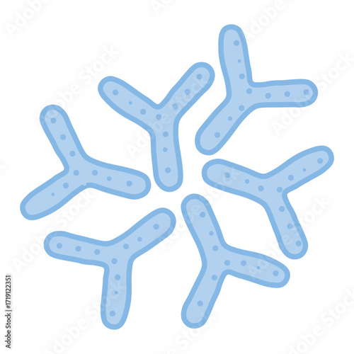 Bifidobacterium Probiotic Bacteria