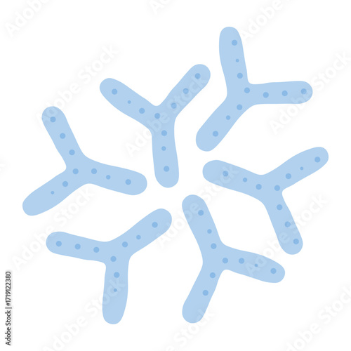 Bifidobacterium Probiotic Bacteria