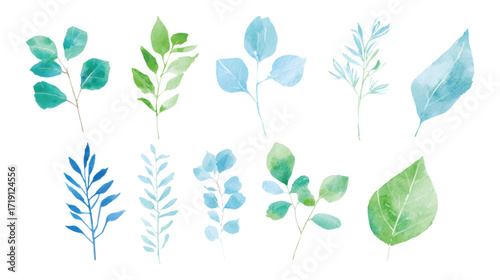A collection of watercolor leaves in various shapes and shades of green and purple isolated on white background