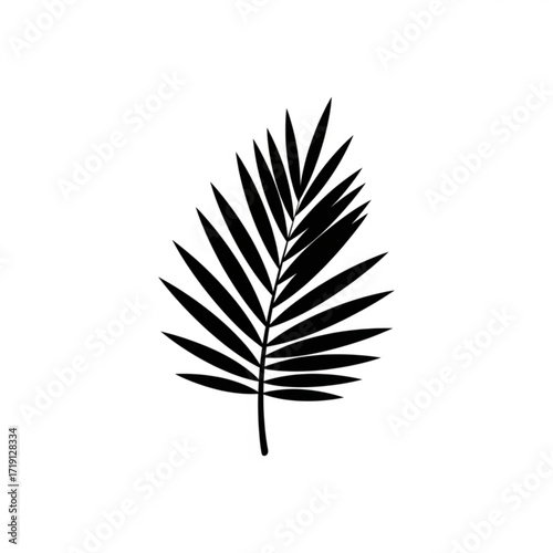 Black Palm Leaf Silhouette