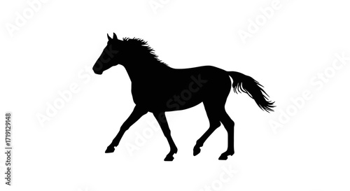 A black silhouette of a horse in motion against a white background