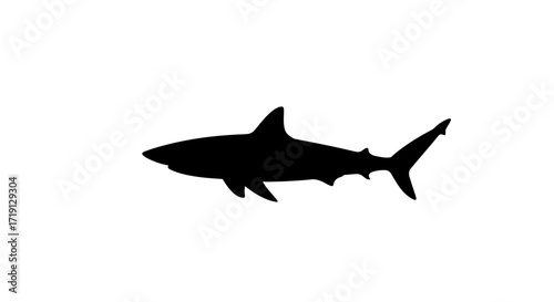 A black silhouette of a shark swimming against a plain white backdrop