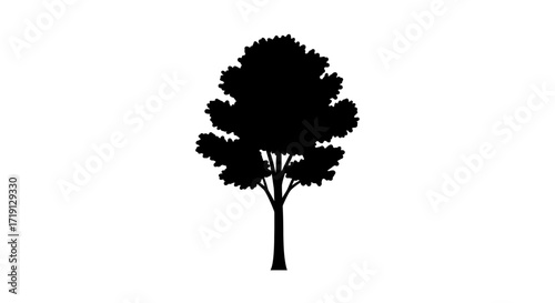 A black silhouette of a tree with a thick leafy top and a single trunk The image is set against a white background