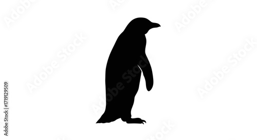 A silhouette of a penguin is standing against a white background