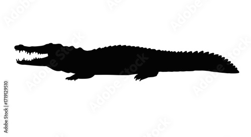 A silhouette of an alligator with its mouth open shows its teeth