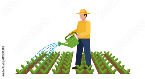 A farmer is watering his vegetable plants in a field.