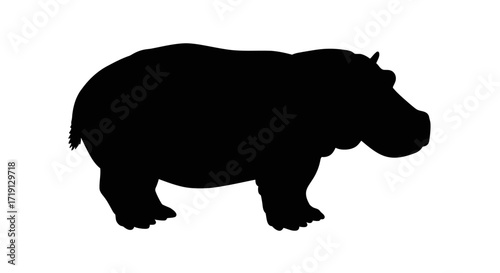 A solid black silhouette of a hippopotamus standing against a plain white background