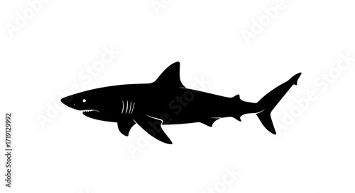 Black silhouette of a shark featuring visible teeth and dorsal fin set against a white background