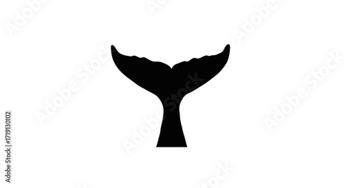 Black silhouette of a whales tail on a white background isolated and central