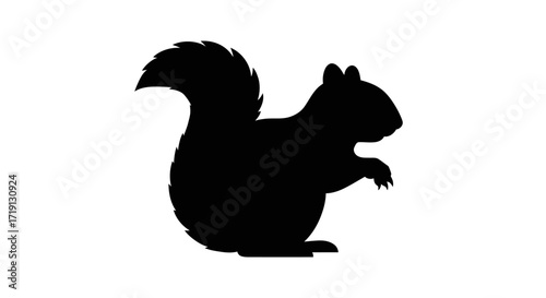 Silhouette of a squirrel with a bushy tail sitting on its hind legs holding something in its paws