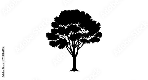 Silhouette of a tree featuring a thick trunk and full canopy set against a stark white background