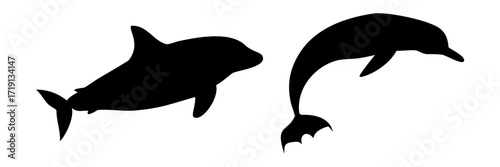 A silhouette vector illustration of a dolphin and a whale swimming together in the ocean
