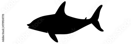 vector illustration of a shark
