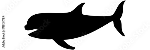 silhouette of a shark and dolphin vector illustration
