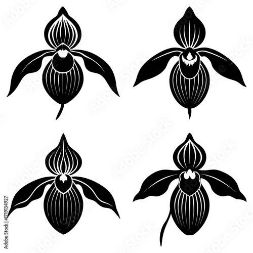 Four stylized black and white lady slipper orchid flowers arranged in a square formation on white background