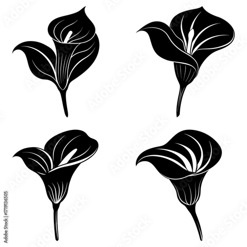 Illustration of four calla lily flowers in black silhouette against a white background in various orientations