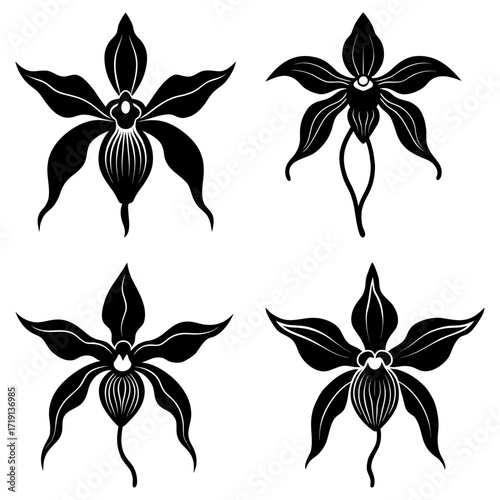 Four orchid flowers in black and white with distinct petal shapes and central floral structures design