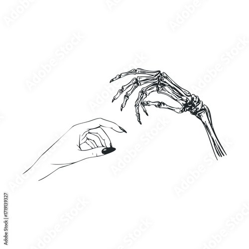 Artistic representation of human skeleton hand reaching for touch. Vector illustration