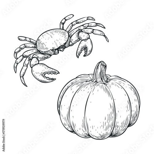 Crab and pumpkin illustration for autumn celebration design. Vector illustration
