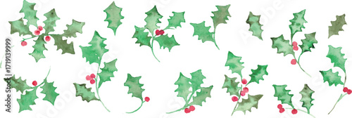 水彩画。水彩タッチのクリスマスひいらぎイラスト。12月のクリスマスフレーム。緑の柊ベクターイラスト。Watercolor painting. Christmas holly illustration with watercolor touch. Christmas frame in December. Green holly vector illustration.