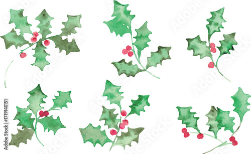 水彩画。水彩タッチのクリスマスひいらぎイラスト。12月のクリスマスフレーム。緑の柊ベクターイラスト。Watercolor painting. Christmas holly illustration with watercolor touch. Christmas frame in December. Green holly vector illustration.
