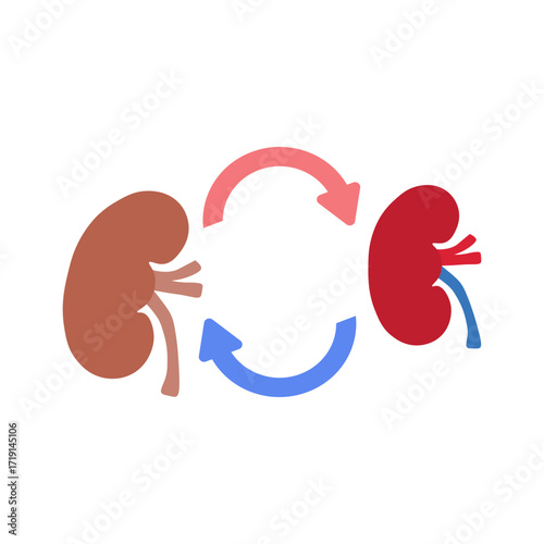 kidney transplant 