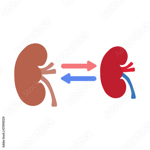 kidney transplant 