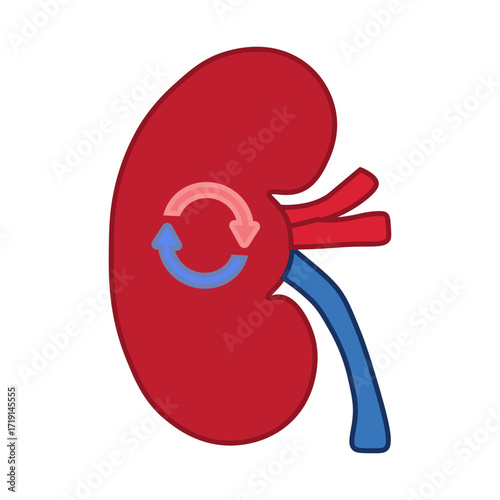 kidney transplant 