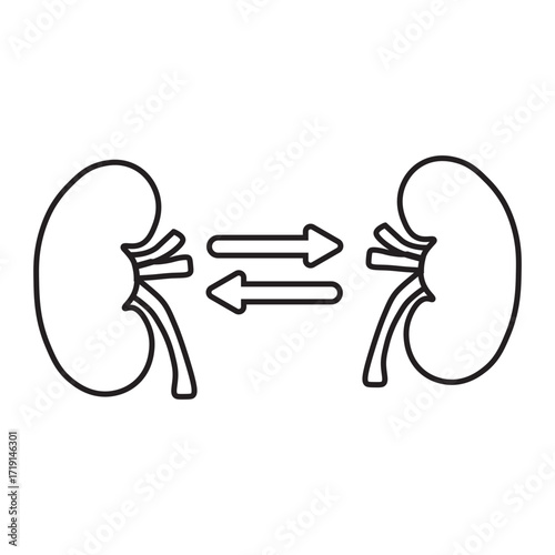 kidney transplant line icon