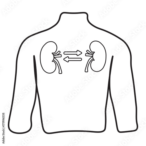 kidney transplant line icon