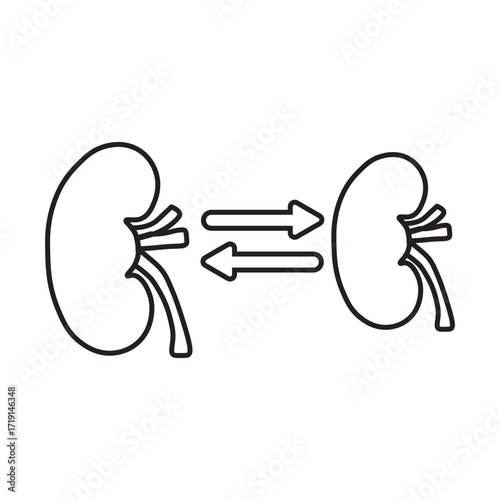 kidney transplant line icon